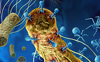 «Доктор Веб»: обзор вирусной активности для мобильных устройств в IV квартале 2025 года